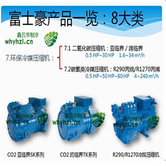 湖北環(huán)保冷媒壓縮機